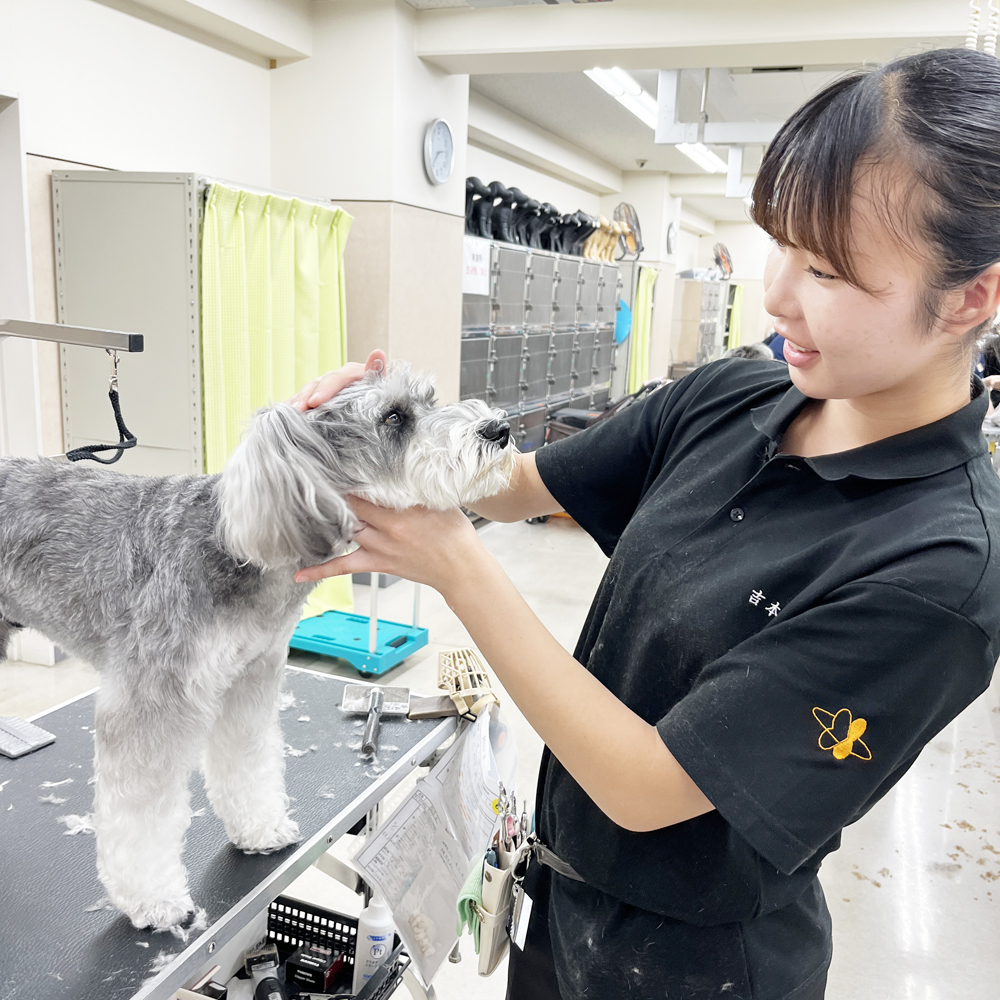 毎日がんばっています！